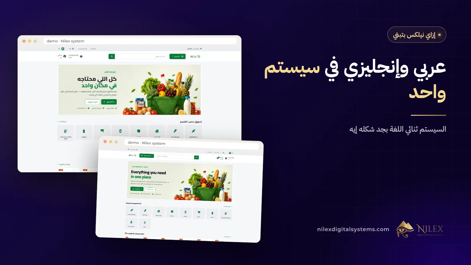 نفس شاشة سيستم نيلكس بالإنجليزي وبالعربي من اليمين للشمال، جنب PDF عربي وصفحة متجر باللغتين